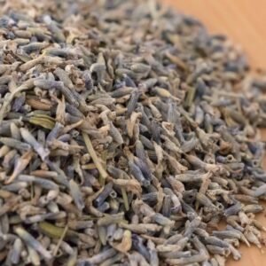 Lavanda / Espliego (Lavandula spica L.)