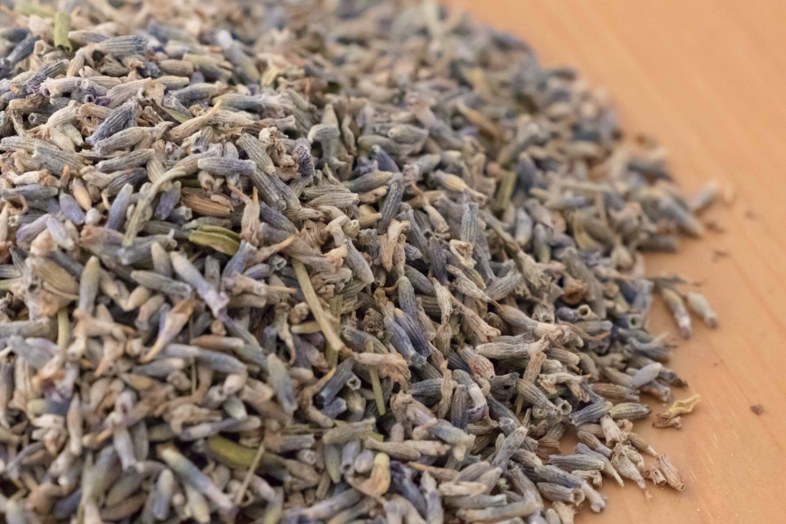 Lavanda - Espliego (Lavandula spica L.)-1 Lavanda / Espliego (Lavandula spica L.)