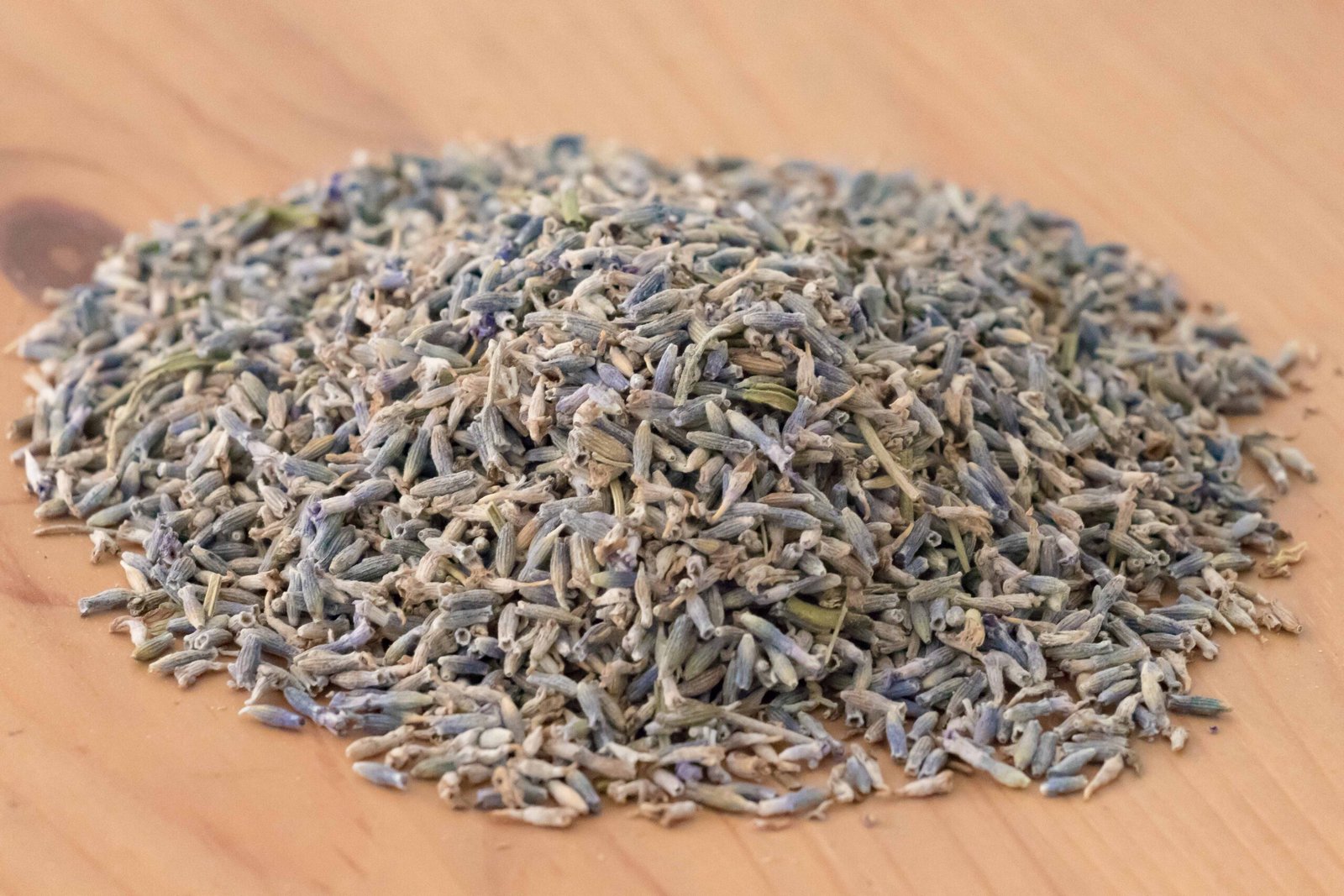 Lavanda - Espliego (Lavandula spica L.)-2 Lavanda / Espliego (Lavandula spica L.) - Imagen 2