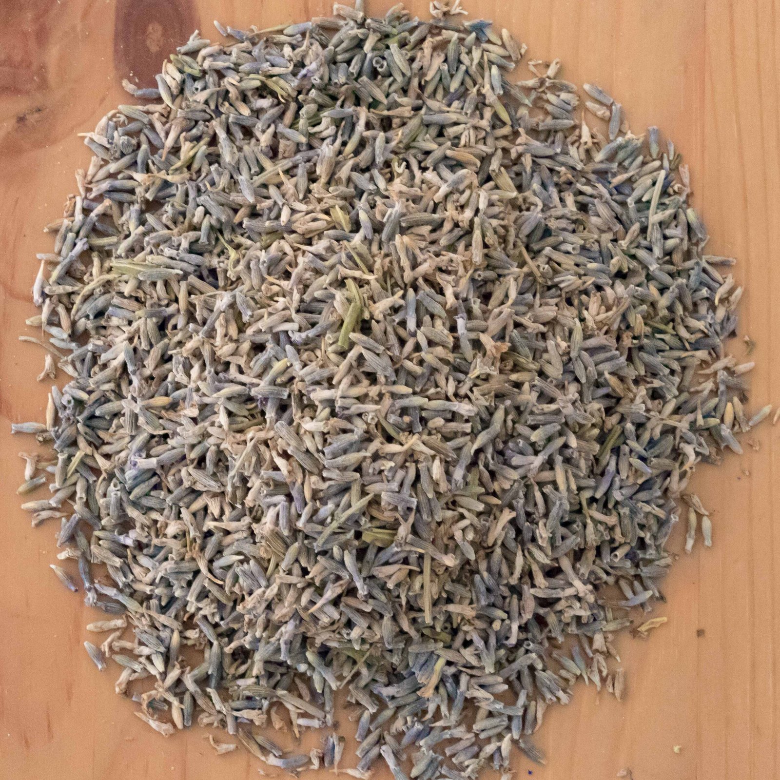 Lavanda - Espliego (Lavandula spica L.)-3 Lavanda / Espliego (Lavandula spica L.) - Imagen 3